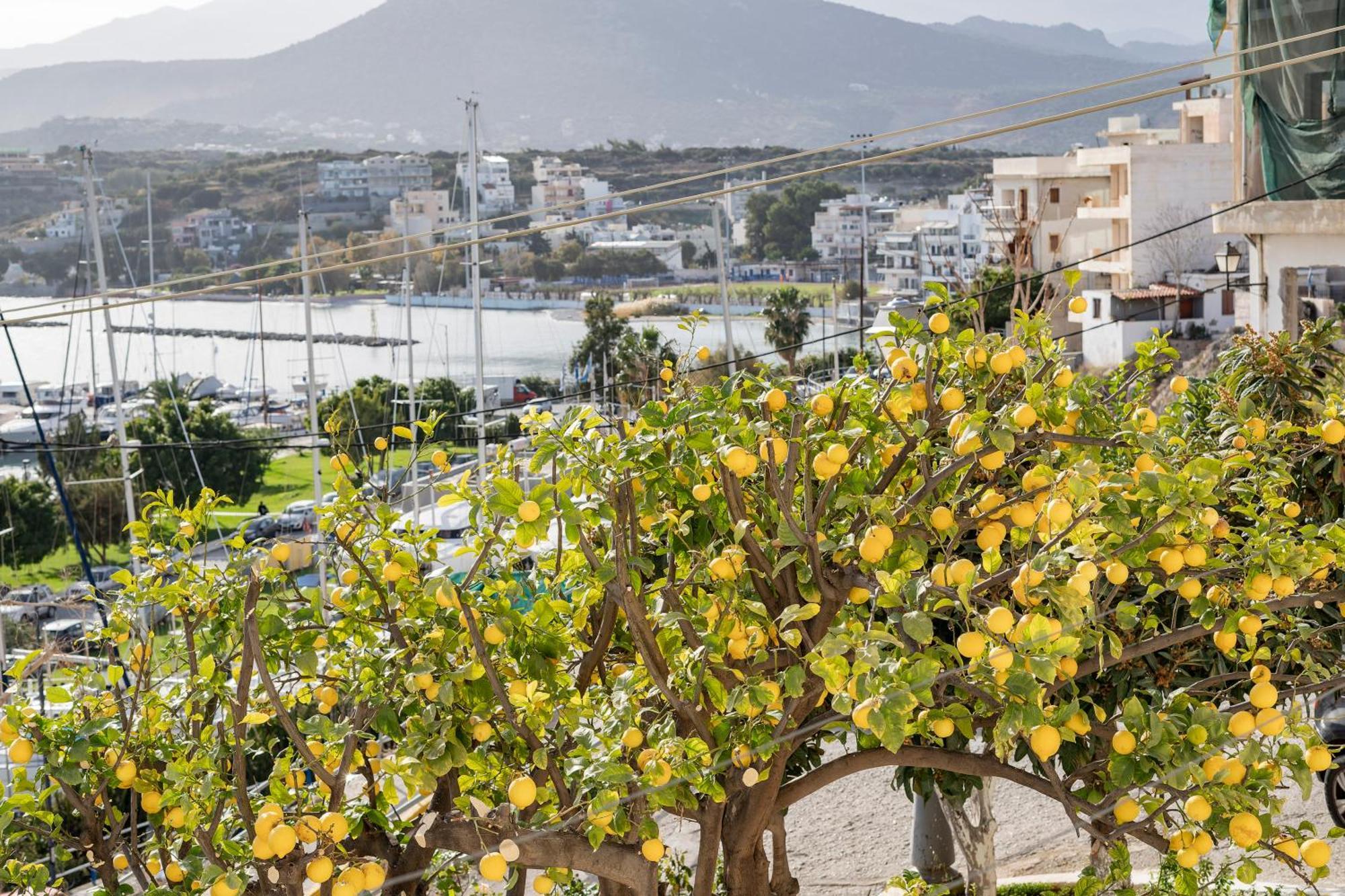 Ágios Nikólaos Jelena Apartments By The Sea מראה חיצוני תמונה